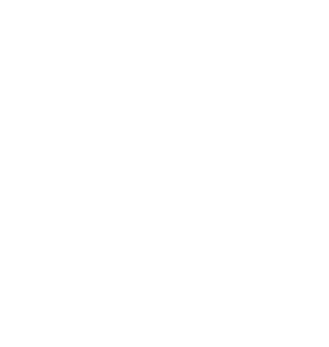 Sake Fes