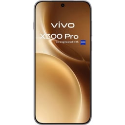 vivo X300 Pro