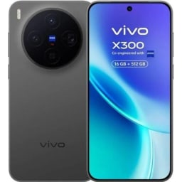 vivo X300