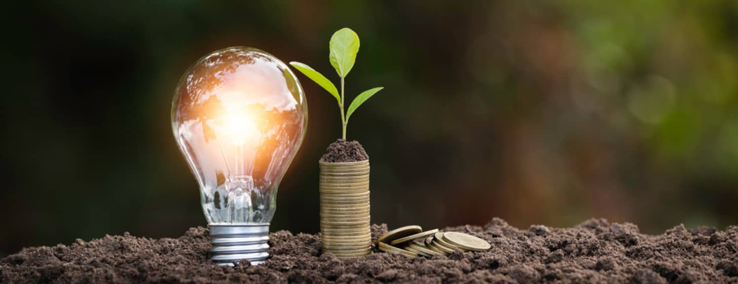 Energieeffiziente Beleuchtung: Energie sparen und trotzdem nicht im Dunkeln sitzen
