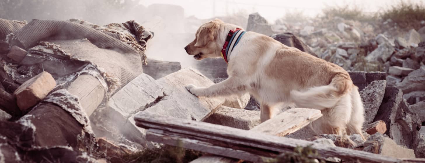 Hilfe für die Erdbebenopfer in der Türkei und Syrien