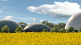 Heimische Wirtschaftsimpulse durch Biomethan und Windkraft