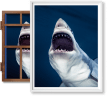 Michael Muller. Sharks, Art Edition No. 1–100 ‘Tear You Apart’