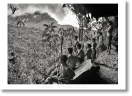 Sebastião Salgado. Amazônia. Poster ‘Yanomani Men’