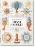 The Art and Science of Ernst Haeckel. 40th Ed.