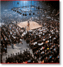 Neil Leifer. Boxing. 60 Years of Fights and Fighters