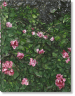 Julian Schnabel