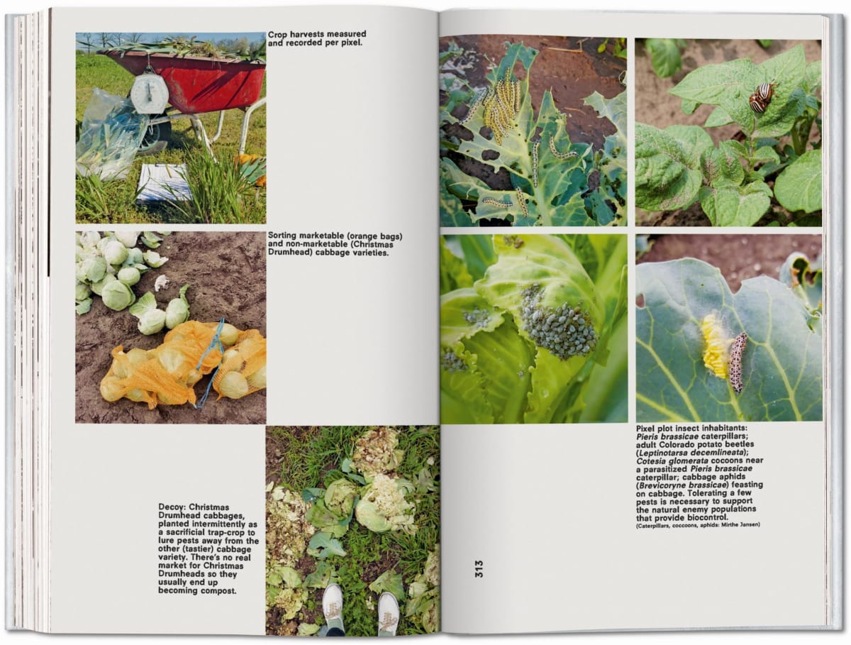 Koolhaas. Countryside, A Report