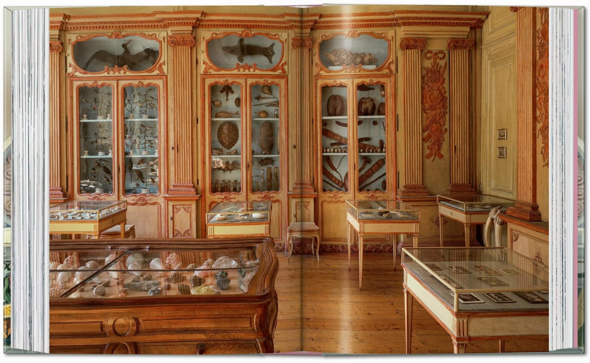 Massimo Listri. Cabinet of Curiosities. 40th Ed.