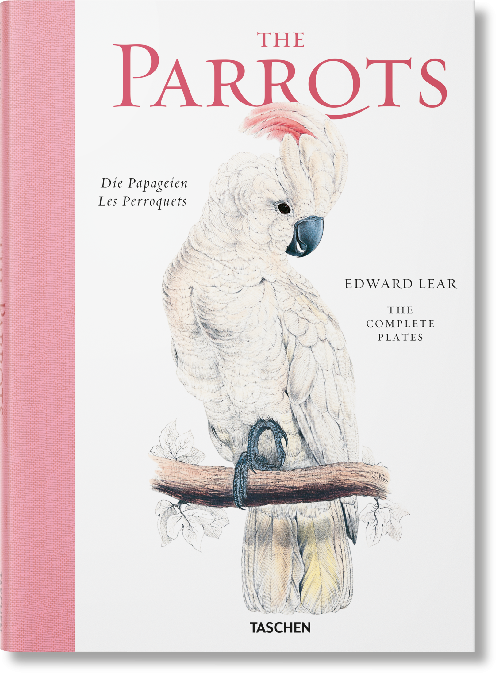 希少 The Parrots Die Papageien 鳥 コレクター 画集-