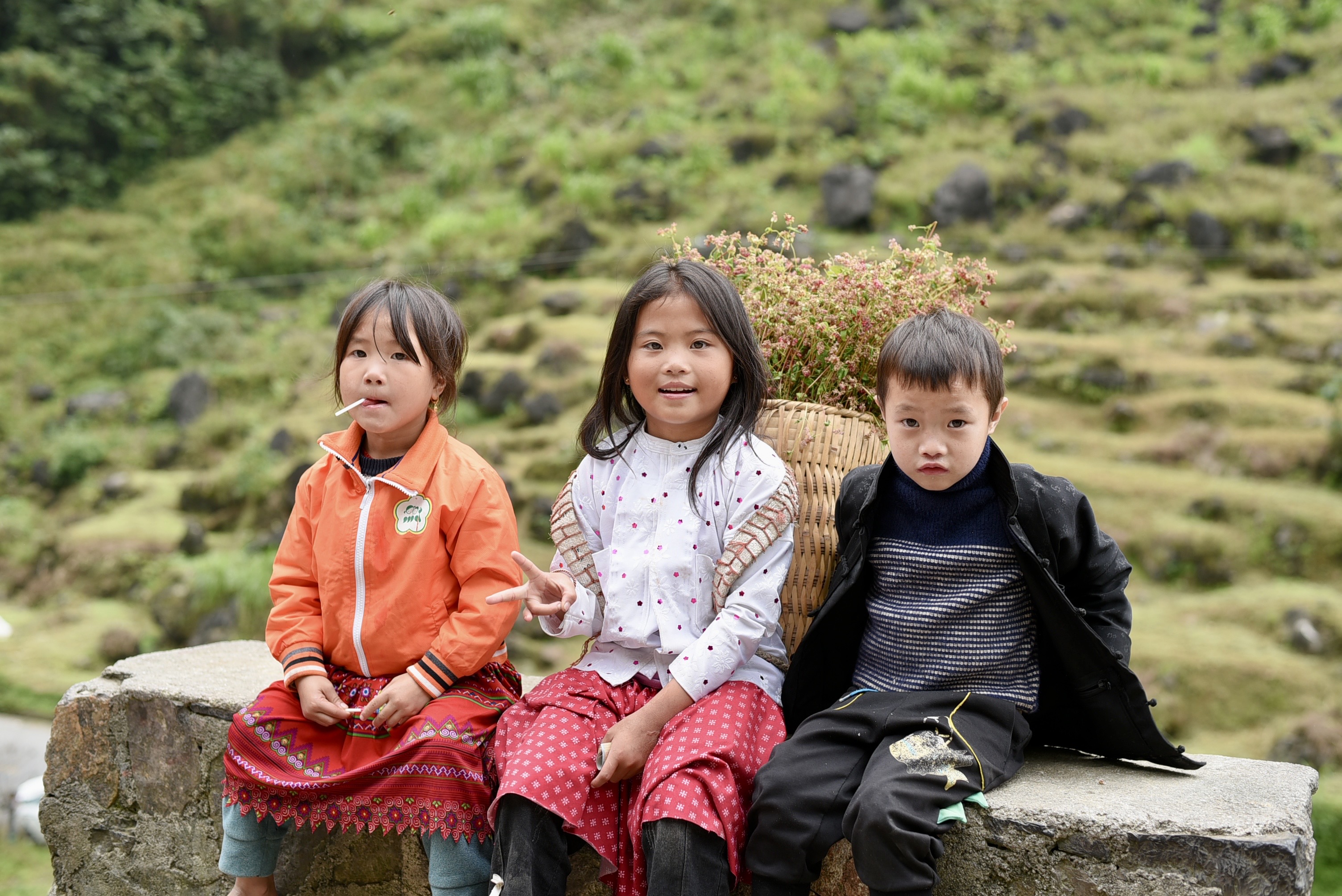 Cover image for Ha Giang Loop