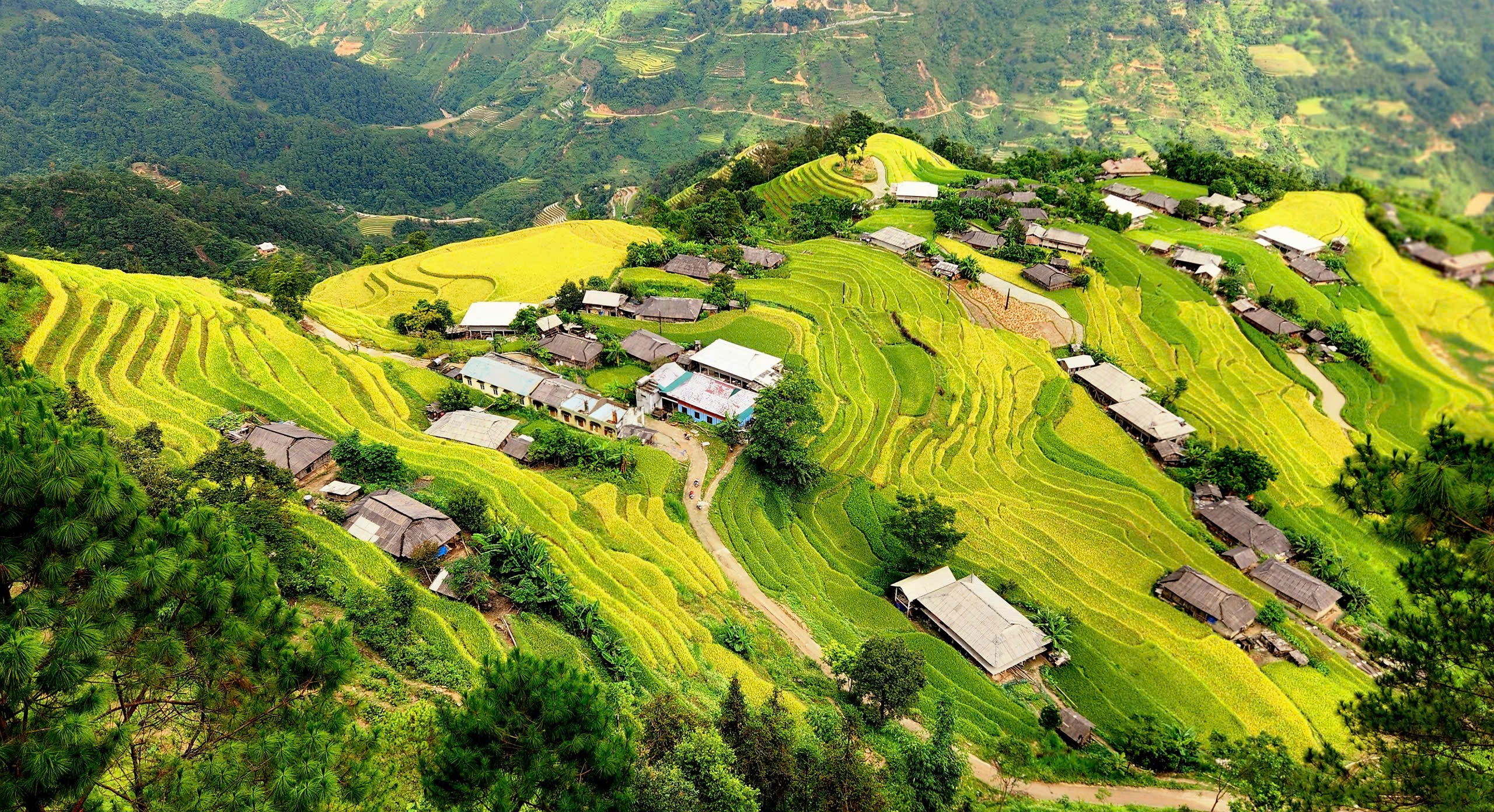 Cover image for Hoang Su Phi