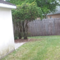 Tasker Yard Work Photo
