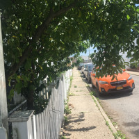 Tasker Yard Work Photo