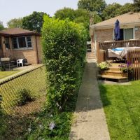 Tasker Yard Work Photo