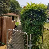 Tasker Yard Work Photo