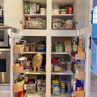 Tasker Organization Photo