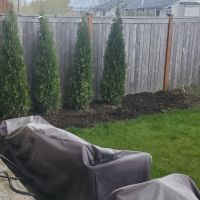 Tasker Yard Work Photo