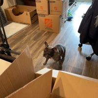 Tasker Packing & Unpacking Photo