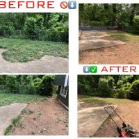 Tasker Yard Work Photo