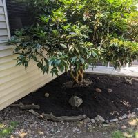 Tasker Yard Work Photo