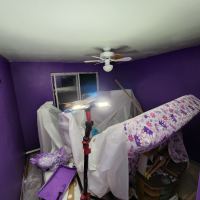 Tasker Indoor Painting Photo