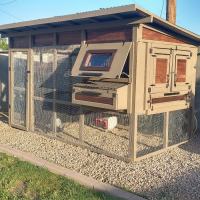 Tasker Light Carpentry Photo