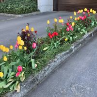 Tasker Yard Work Photo
