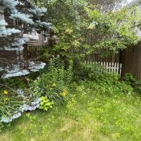 Tasker Landscaping Help Photo