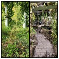Tasker Branch & Hedge Trimming Photo