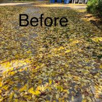 Tasker Yard Work Photo