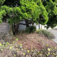 Tasker Yard Work Photo
