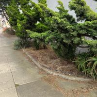 Tasker Yard Work Photo