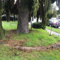 Tasker Landscaping Help Photo