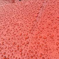 Tasker Car Washing Photo