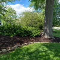 Tasker Yard Work Photo