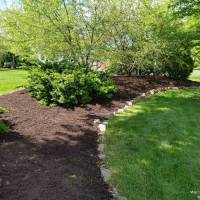 Tasker Yard Work Photo