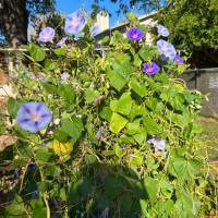 Tasker Yard Work Photo