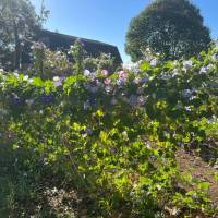 Tasker Yard Work Photo