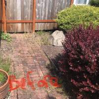 Tasker Branch & Hedge Trimming Photo