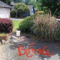 Tasker Branch & Hedge Trimming Photo