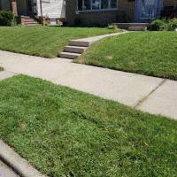 Tasker Yard Work Photo