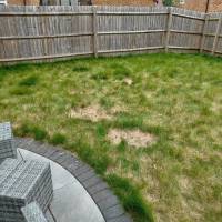 Tasker Gardening Photo