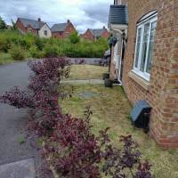 Tasker Gardening Photo