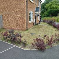 Tasker Gardening Photo