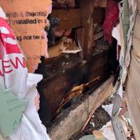 Tasker Minor Home Repairs Photo