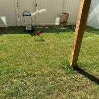 Tasker Yard Work Photo