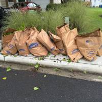 Tasker Yard Work Photo