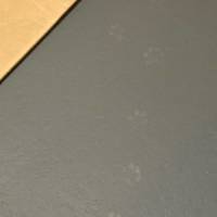 Tasker Concrete & Brick Painting Photo