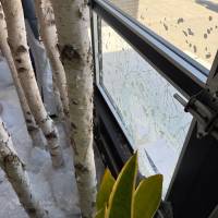 Tasker Minor Home Repairs Photo